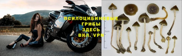 амфетамин Бородино