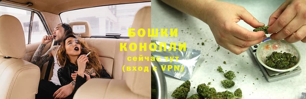 СК Бронницы