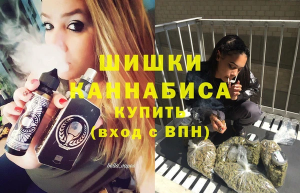 СК Бронницы