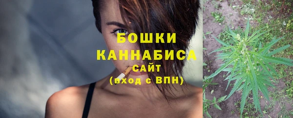 СК Бронницы
