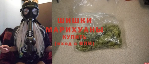 СК Бронницы