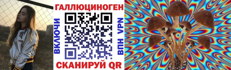Галлюциногенные грибы мицелий  Навашино 